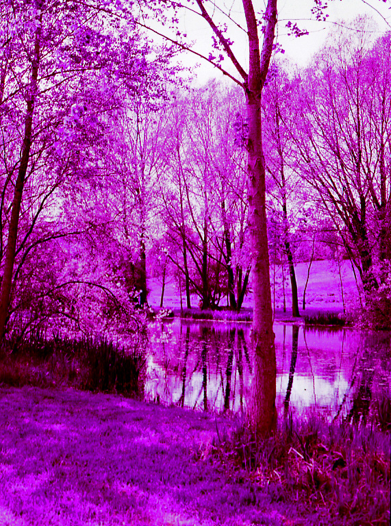 7269052706_4bbd9952a5_o