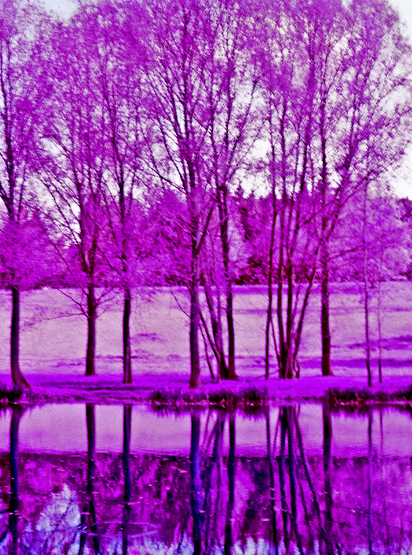7269054590_a14388163a_o
