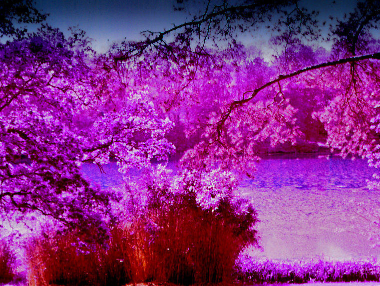 7269055600_073c9ca853_o