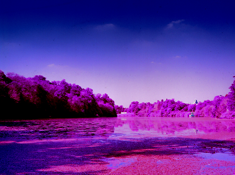 7269057300_85279966ca_o