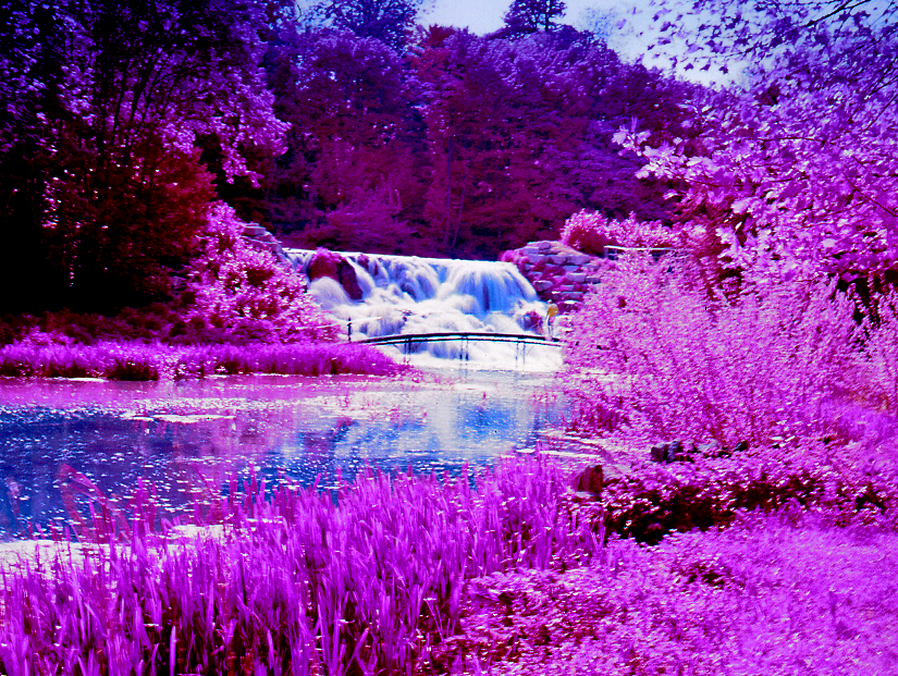 7269058368_5292c0f2dc_o