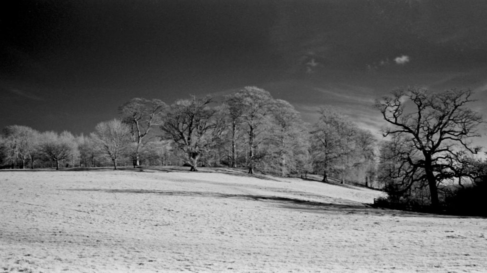 cropped-banner-IR.jpg