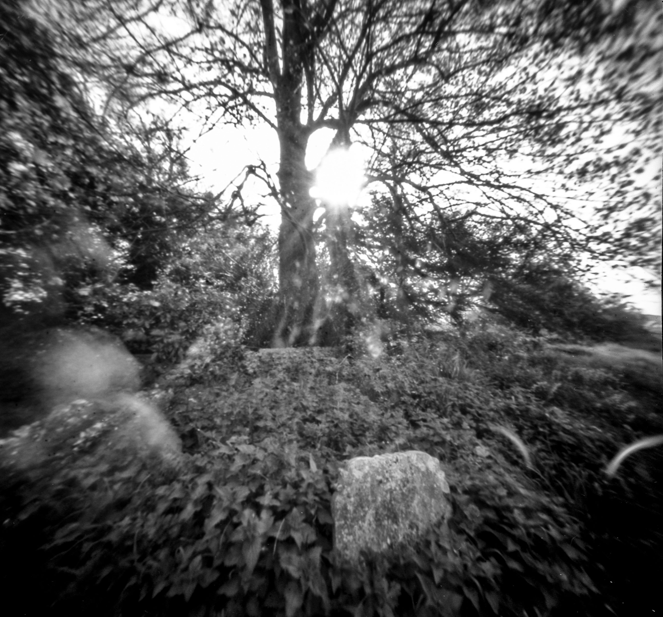 untitled (8 of 9)