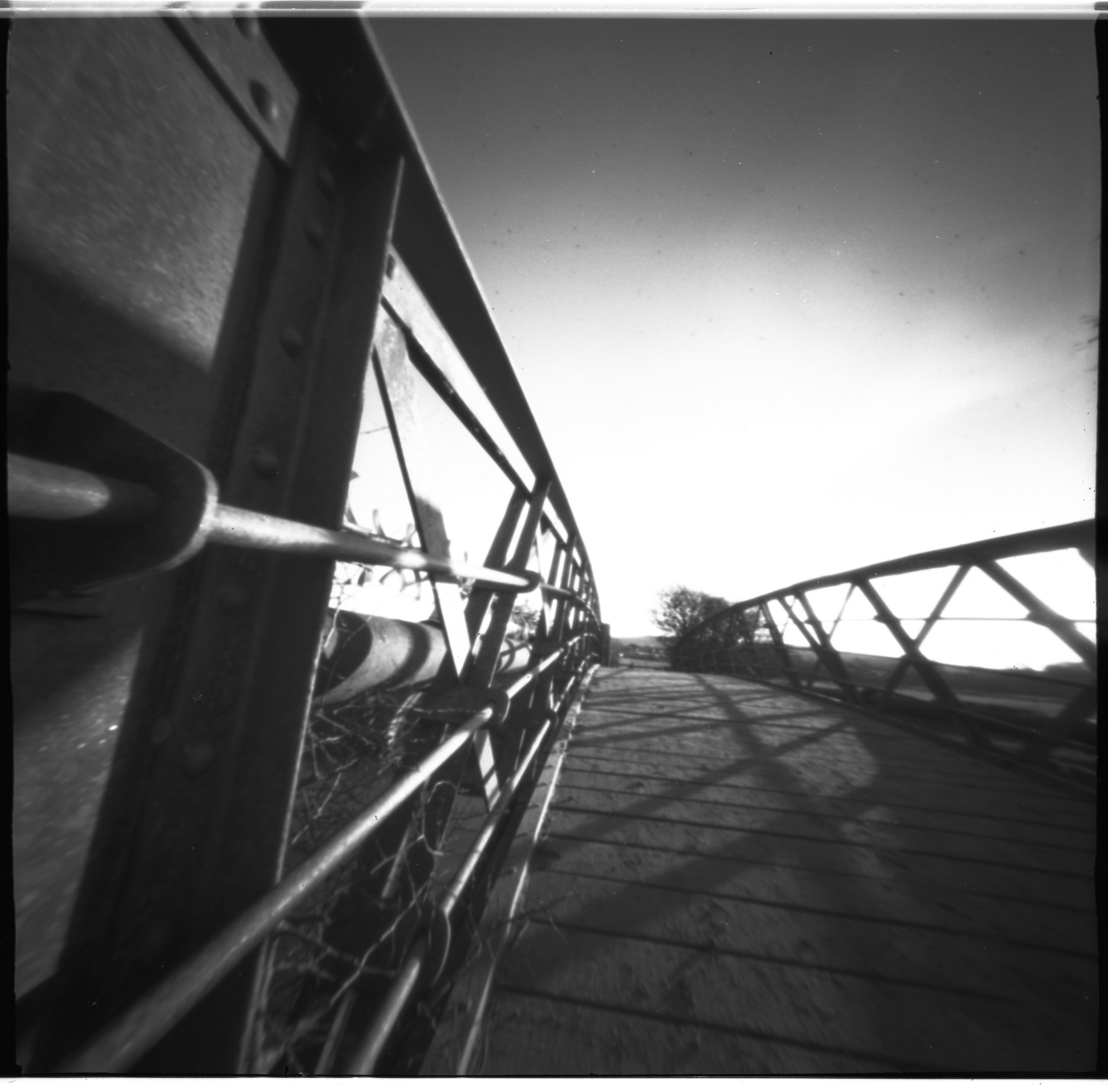 Untitled-5