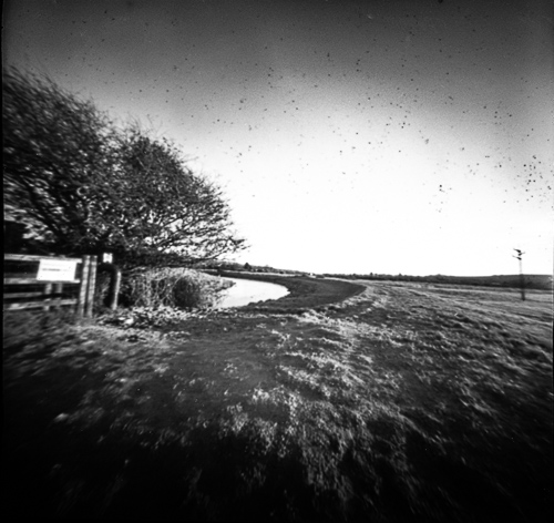 stars-and-crows (2 of 10)