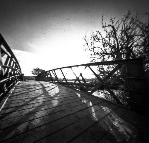 stars-and-crows (4 of 10)