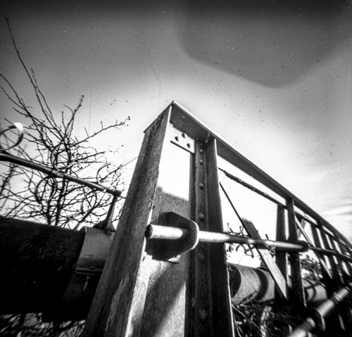 stars-and-crows (6 of 10)