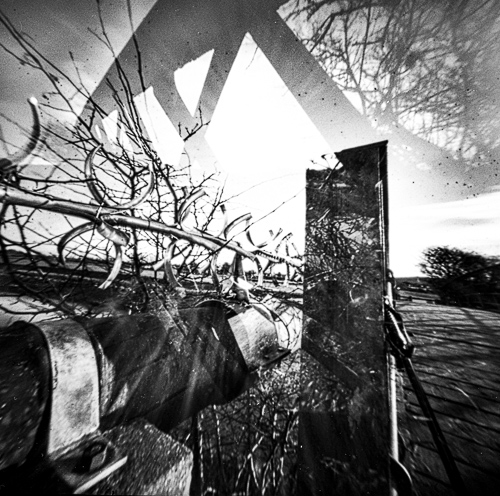 stars-and-crows (7 of 10)