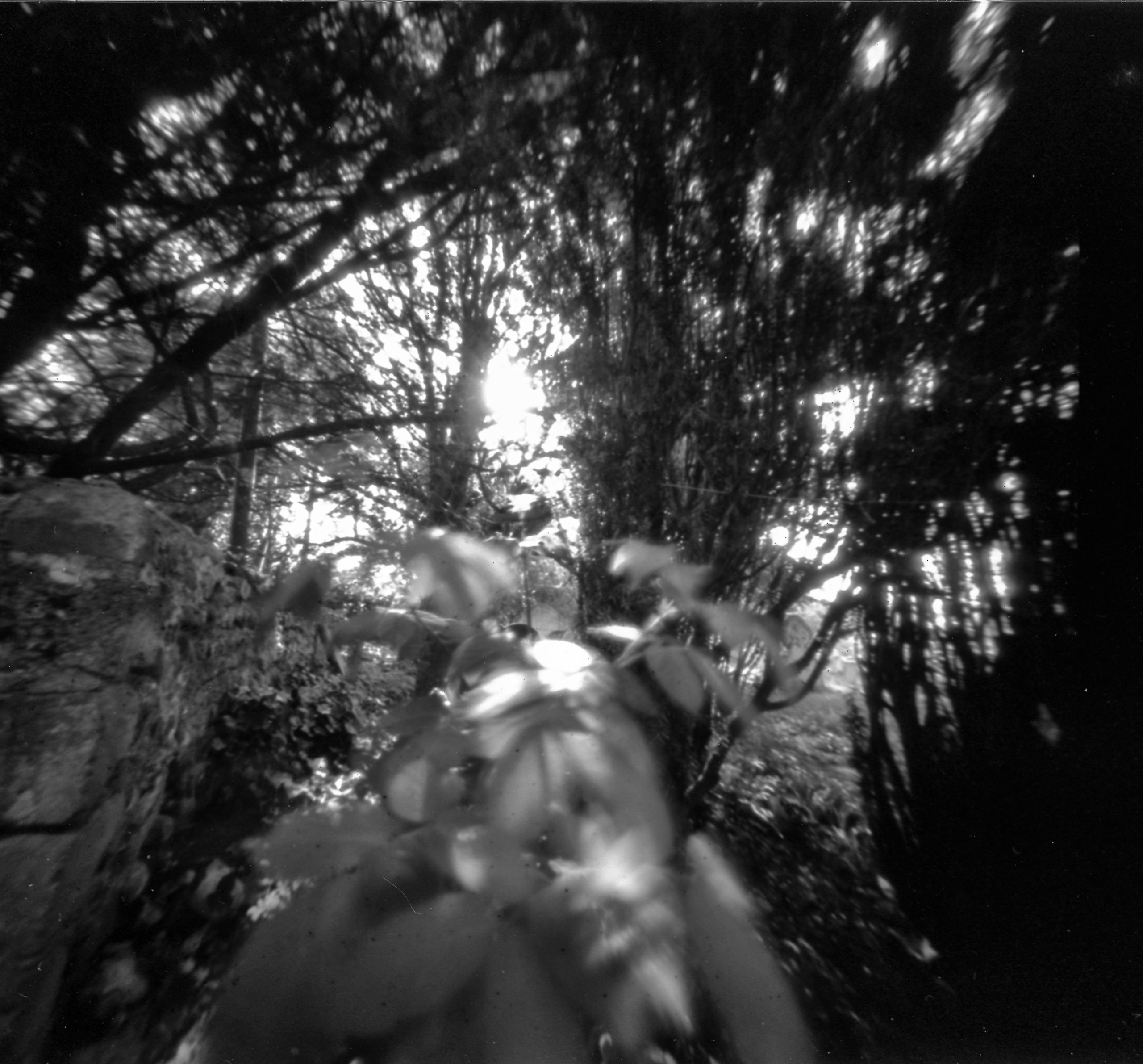 untitled (6 of 9)