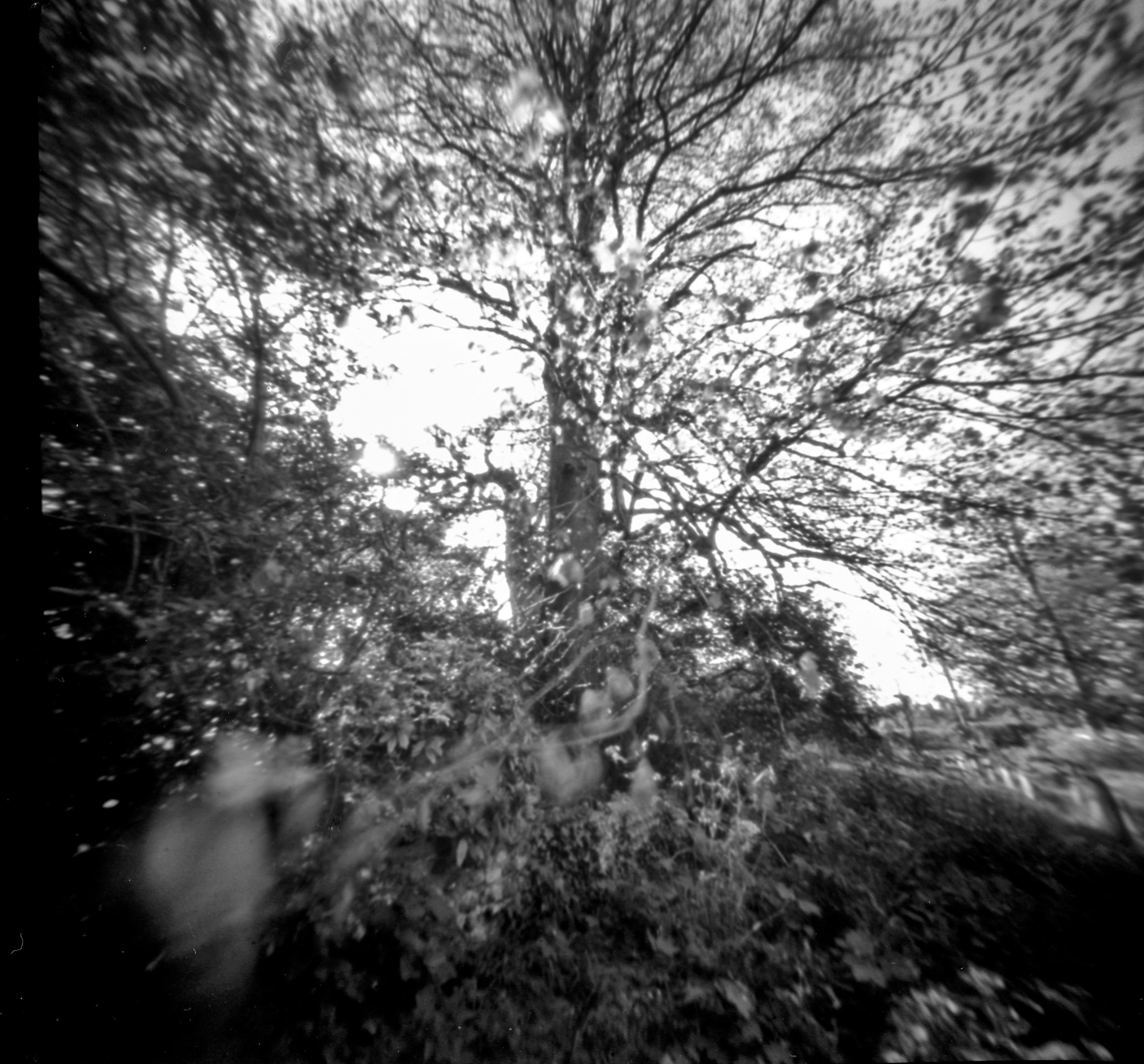 untitled (7 of 9)